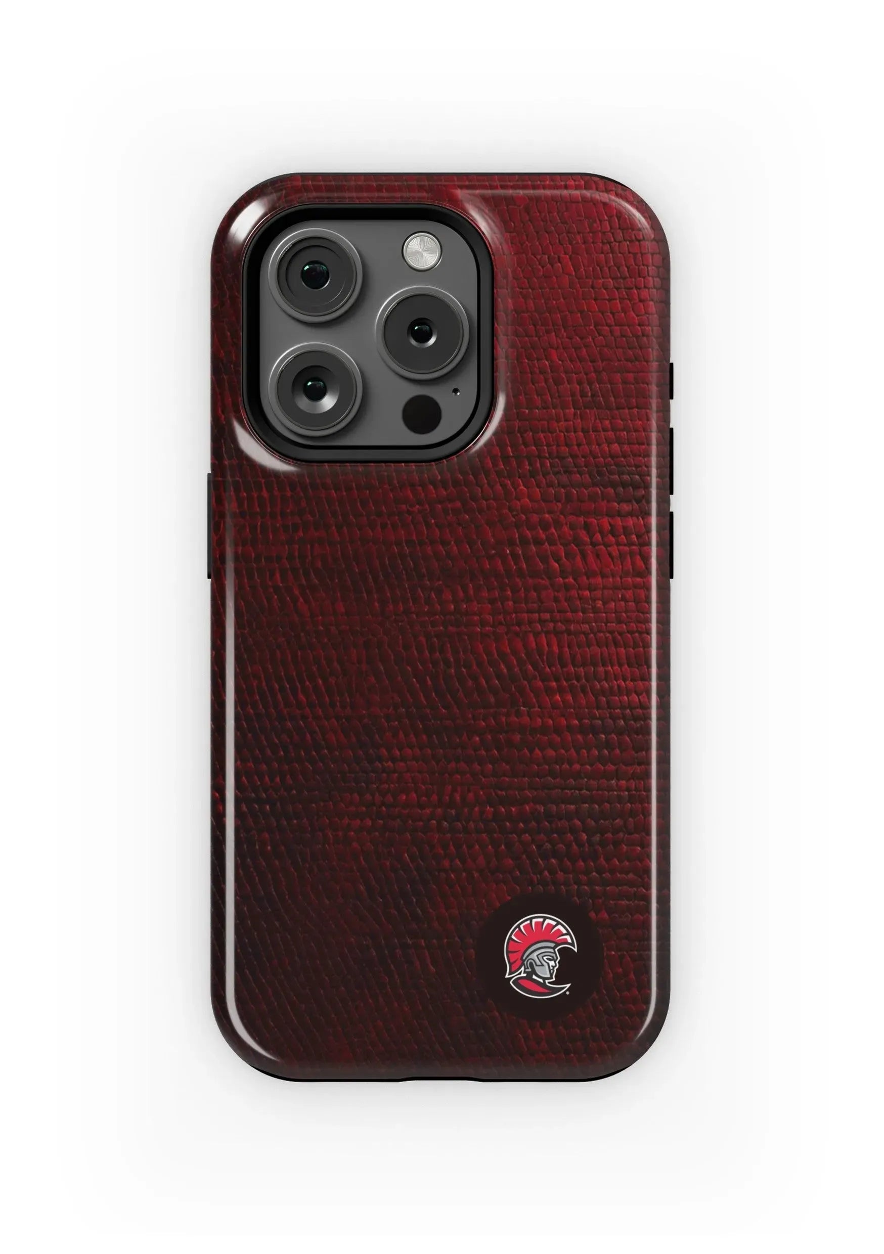 University of Tampa iPhone 15, 14, 13 Mobile Phone Case - Cord Gloss Mobile Phone Cases